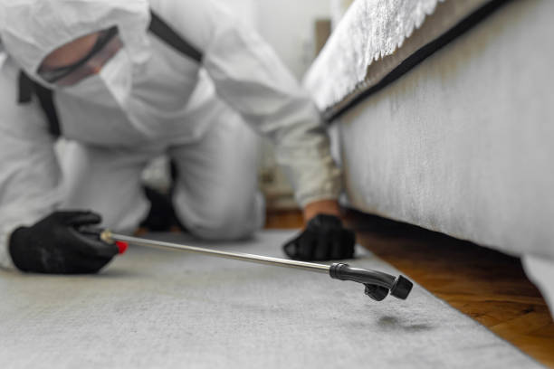 Professional Emergency Pest Control technician working in Salt Creek Commons, IN